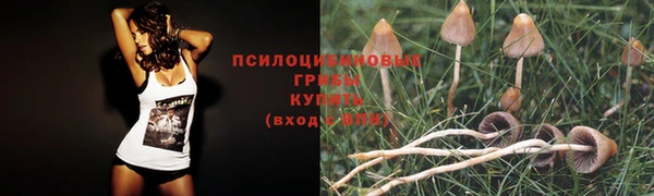 соль ск Балахна